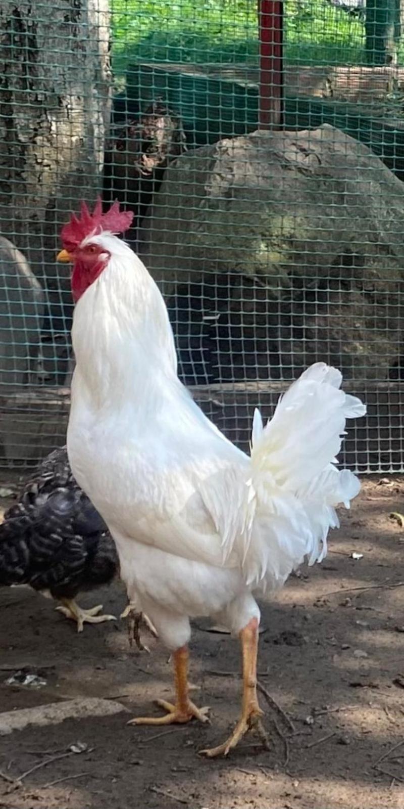 Hosteria Campestre San Fermin Ráquira Zewnętrze zdjęcie