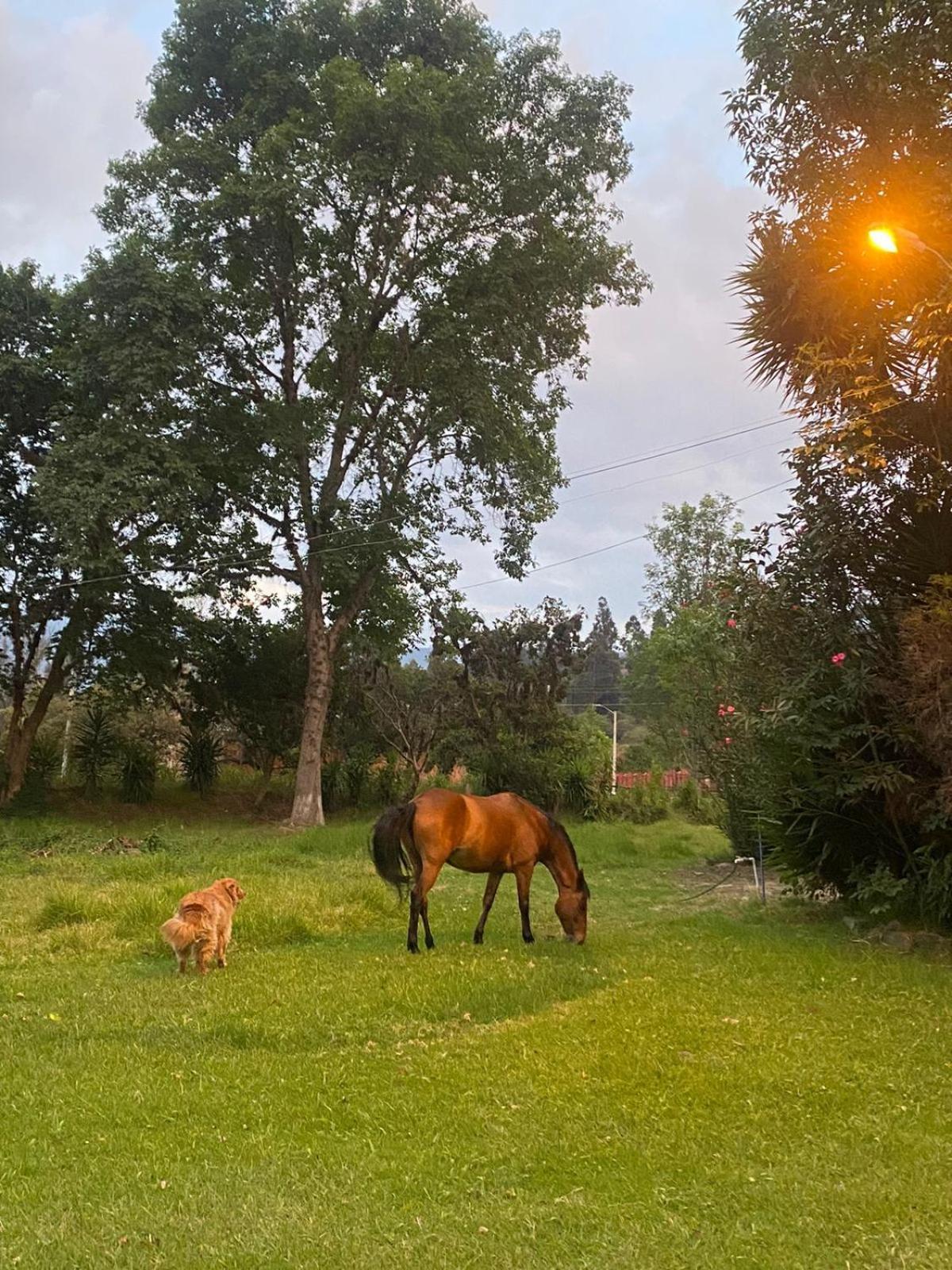 Hosteria Campestre San Fermin Ráquira Zewnętrze zdjęcie