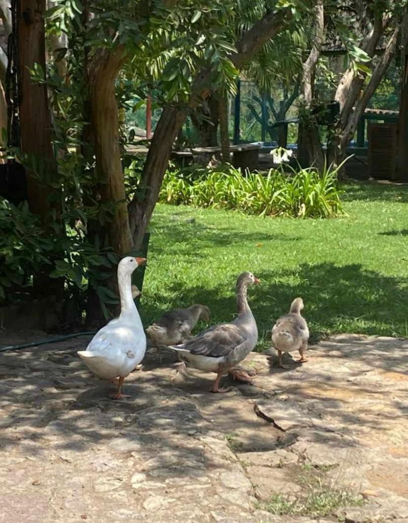 Hosteria Campestre San Fermin Ráquira Zewnętrze zdjęcie