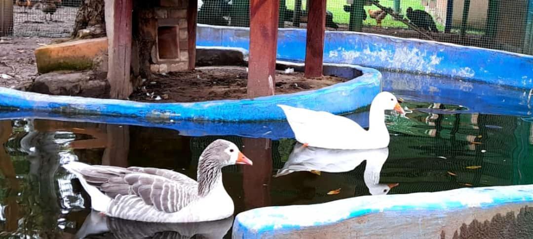 Hosteria Campestre San Fermin Ráquira Zewnętrze zdjęcie