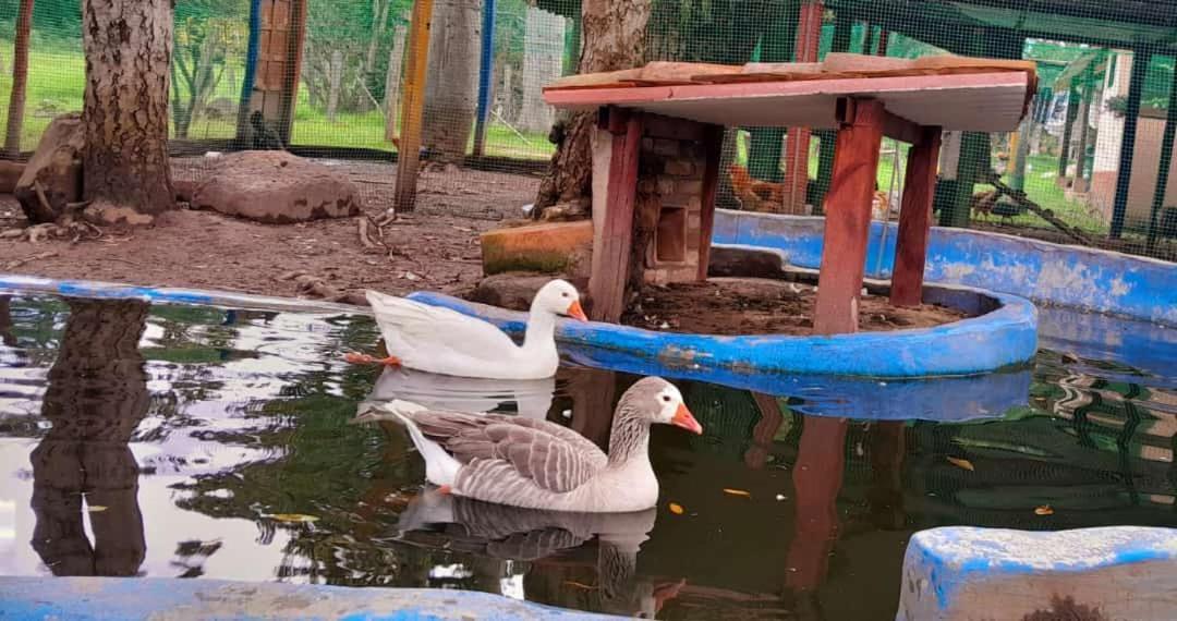 Hosteria Campestre San Fermin Ráquira Zewnętrze zdjęcie